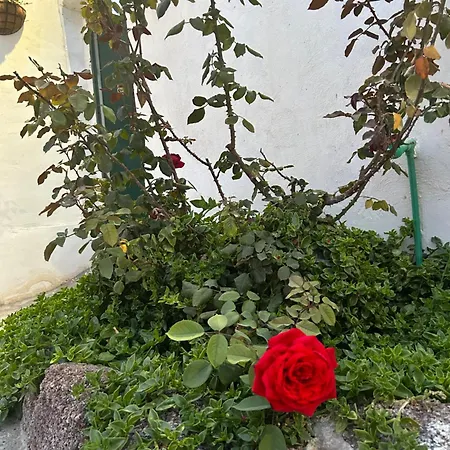 Apartamento El Pasil