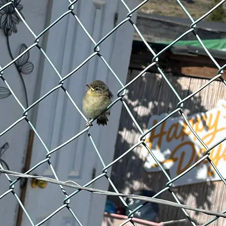 El Pasil 아파트 아로나