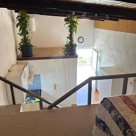 El Pasil Arona (Tenerife)