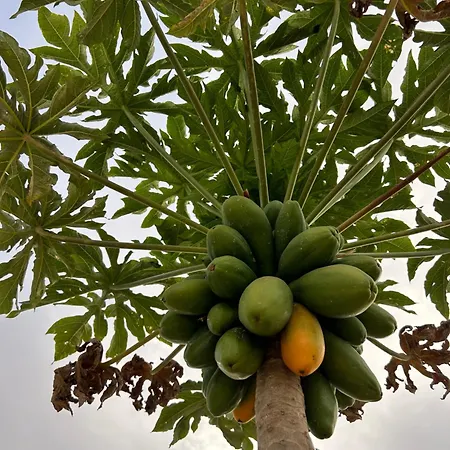 Apartmán El Pasil *