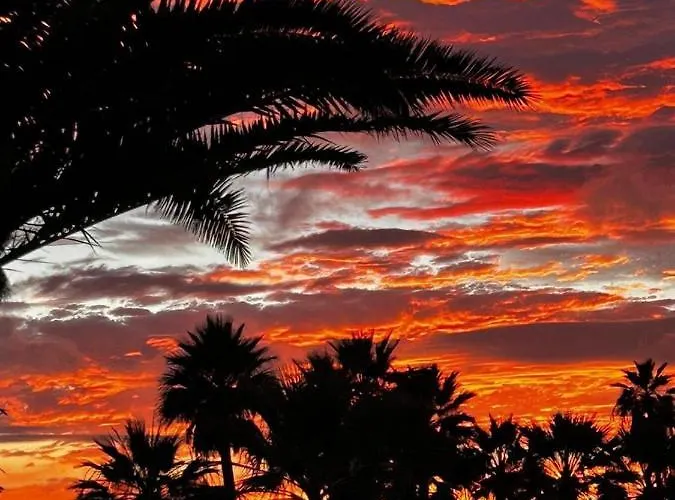 El Pasil Apartament Arona (Tenerife)